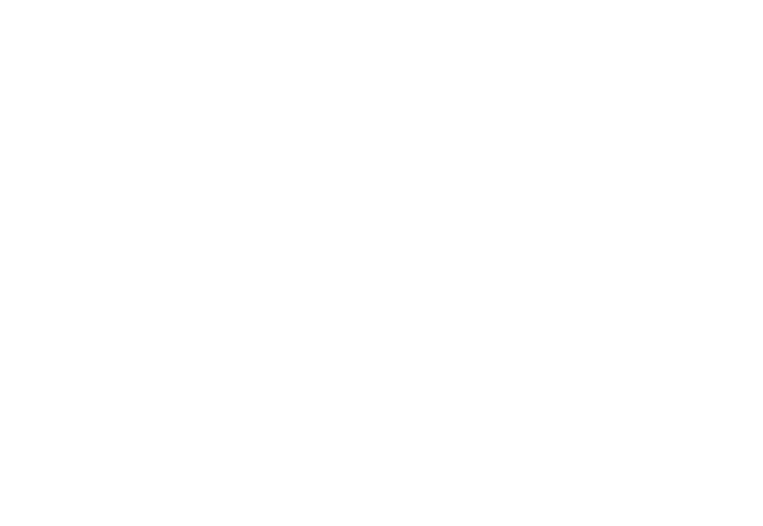 WeLife — Coaching con propósito